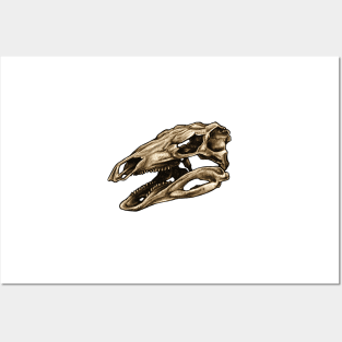 Dinosaur Skull Stegosaurus Posters and Art